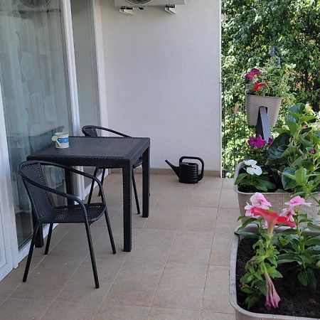 Apartament Moonshine Segedyn Zewnętrze zdjęcie